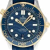 OMEGA Seamaster Diver 300M Co-Axial Master Men's Watch 210.22.42.20.03.001